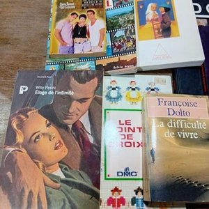 Lote de Libros Variados: Idiomas, Revistas y Más - imagen 6