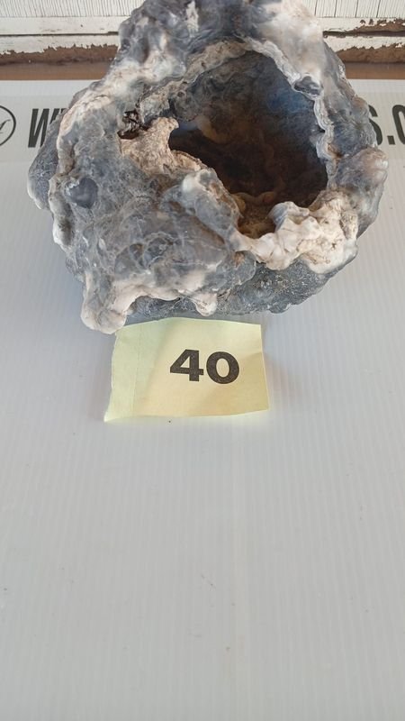 Conchas geológicas con agujeros - imagen 5