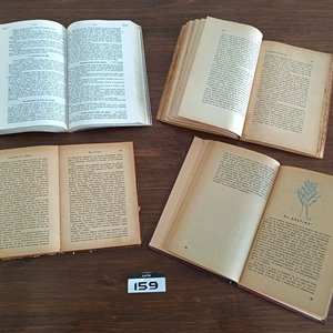 Lote de 10 Libros: Música, Biblia, Literatura Uruguaya, Diccionario y Más - imagen 6