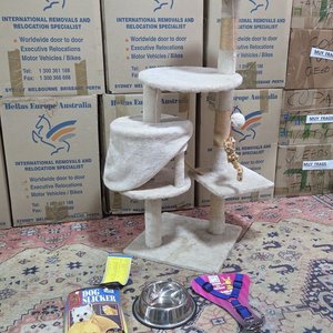 Lote anterior: Árbol Rascador para Gatos y Accesorios para Mascotas