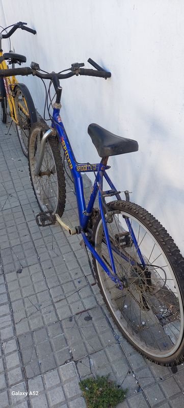 Item 900855 - Image 3