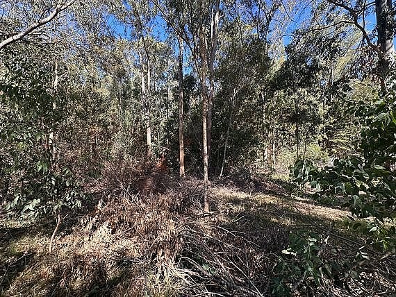 Item 31637 - Image 0