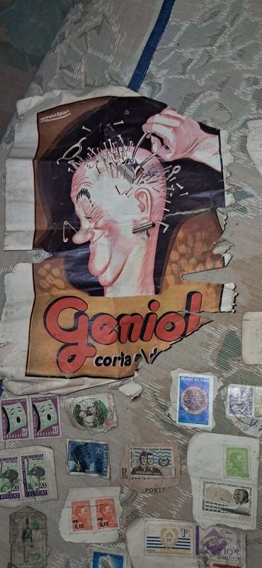 Item 880833 - Image 5