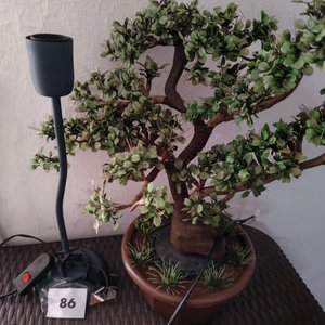 Bonsai Artificial con Lámpara Veladora y Base de Iluminación - imagen 1