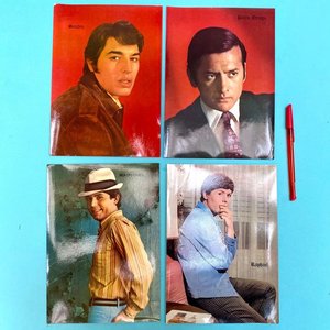 Lote anterior: Láminas Afiches Años 70: Palito Ortega, Sandro, Raphael (x2)
