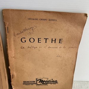 Libros de Goethe: El Fausto y Estudios Literarios - imagen 5