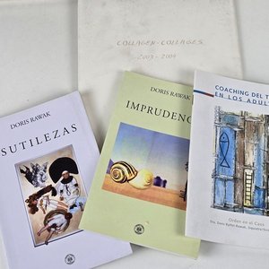 Ensamblaje Artístico Surrealista y Dadaísta de Doris Ryffel-Rawak con Folletos y Catálogos - imagen 7
