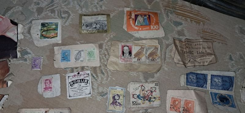 Item 880833 - Image 1