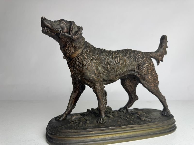 Item 872074 - Image 0