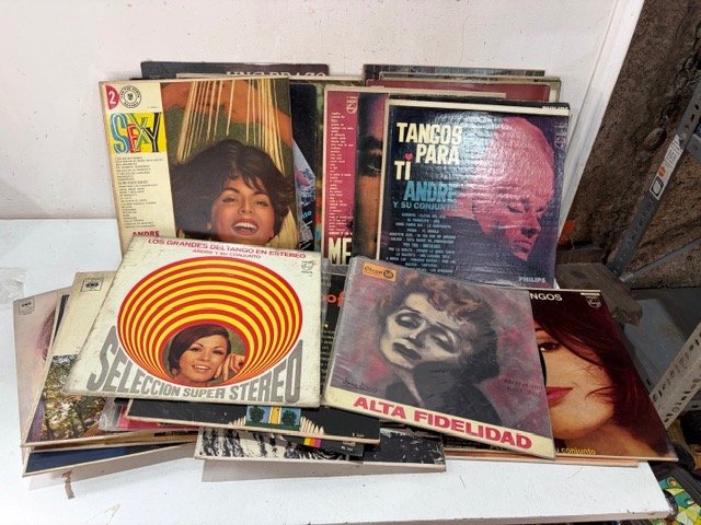 Lote de Discos de Vinilo de Música Latina y Tango