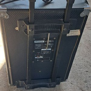 Parlante Amplificador Portátil con Batería y Ecualizador - imagen 2