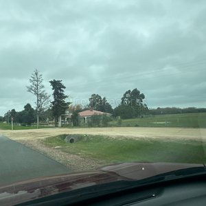 Remate de Campo en Palermo, Uruguay - imagen 5