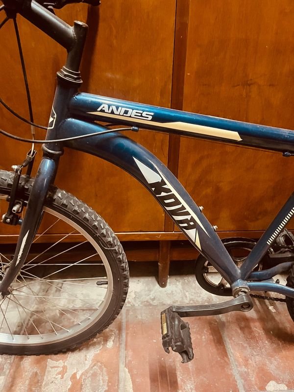 Bicicleta de Montaña Kova Andes Rod 24 - imagen 2