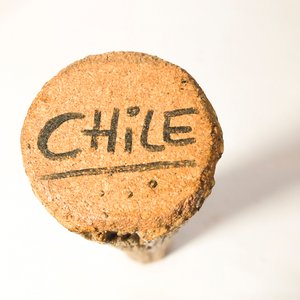Red de Pesca y Palo de Lluvia Artesanal de Chile - imagen 5