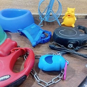 Lote Variado de Accesorios para Mascotas: Comederos, Correas y Rueda - imagen 5