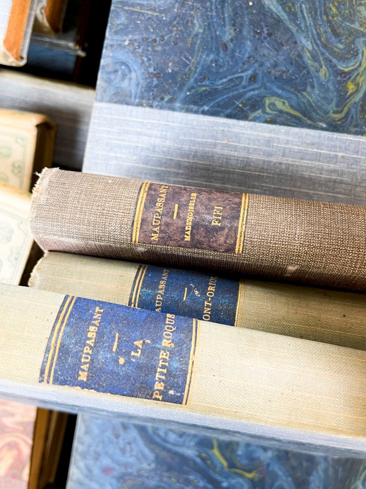 Colección de libros antiguos y variados - imagen 3