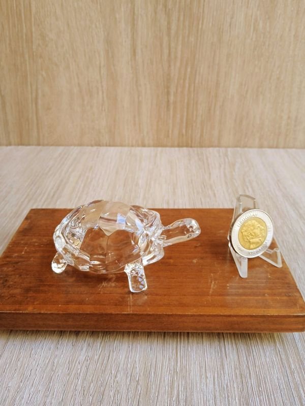 Tortuga de Cristal en Venta - imagen 2