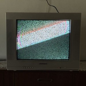 Televisor Panavox a Tubo de 21 Pulgadas con Control Remoto - imagen 6