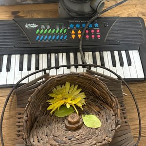 Lote siguiente: Teclado Electrónico y Cesta Decorativa con Flor