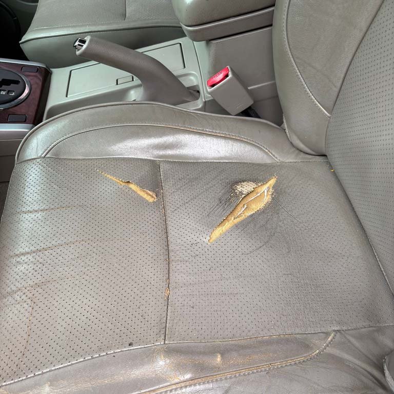 Item 2097288 - Image 14