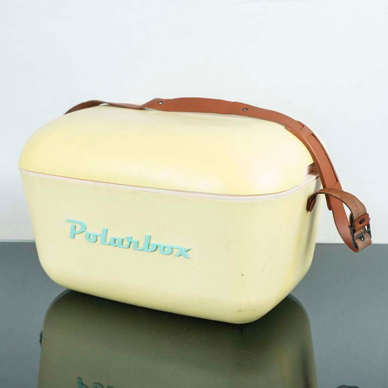 Lote siguiente: Conservadora PolarBox - Medidas: 46x30x25cm
