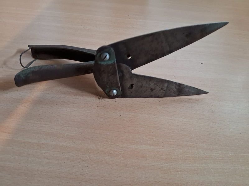 Item 894845 - Image 1