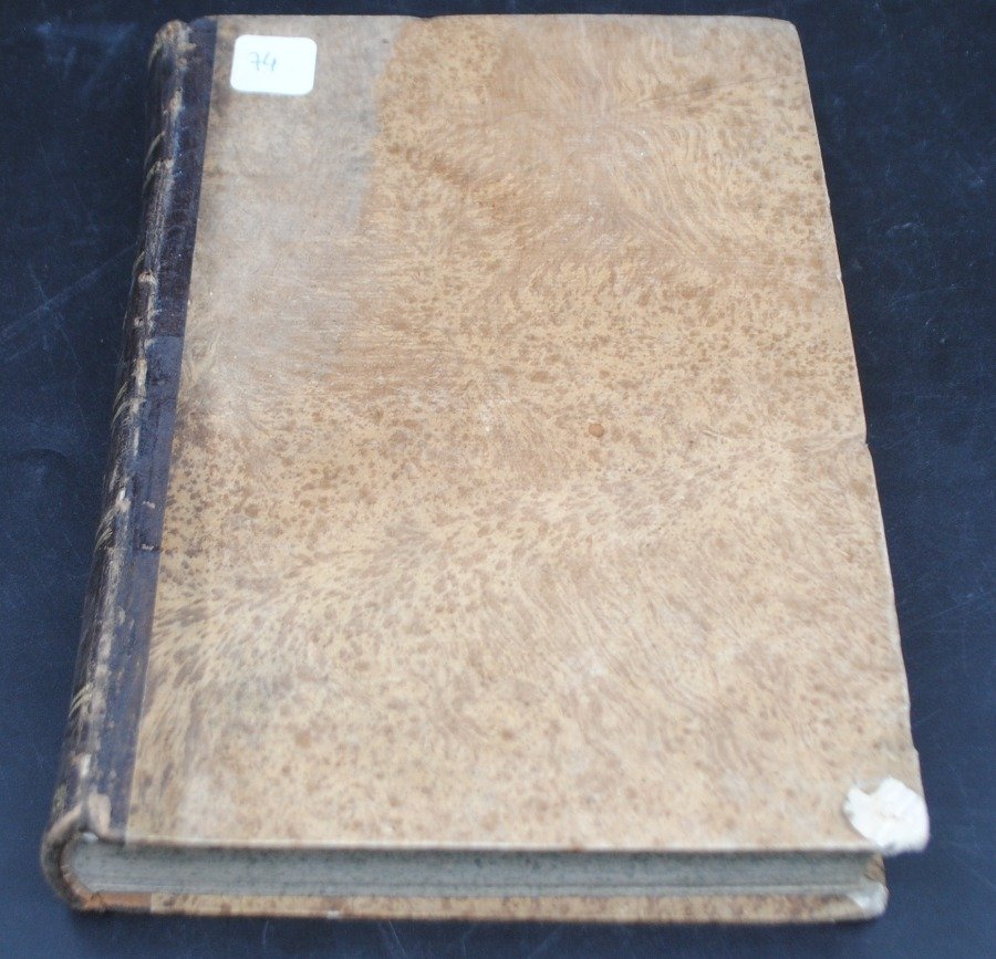 Libro antiguo de historia de Italia - imagen 2