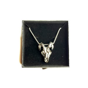 Collar con Dije Metálico de Cráneo de Carnero en Estuche Negro - imagen 2