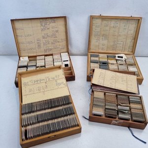 Lote anterior: Colección de Diapositivas Antiguas en Cajas de Madera con Clasificación Manual