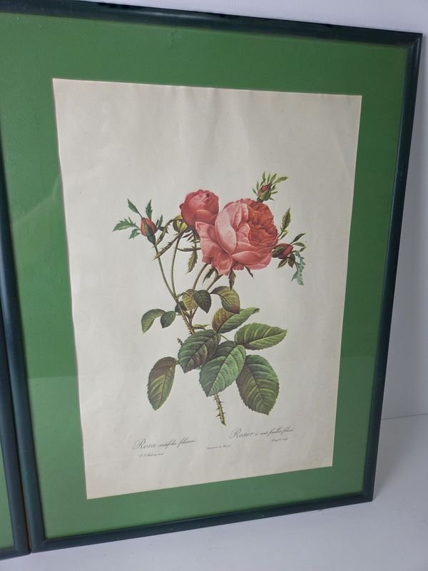 Pinturas de flores enmarcadas, estilo francés - imagen 2