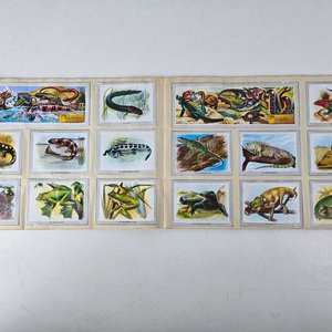 Álbum de Figuritas Vida y Color 1967 Completo - imagen 6