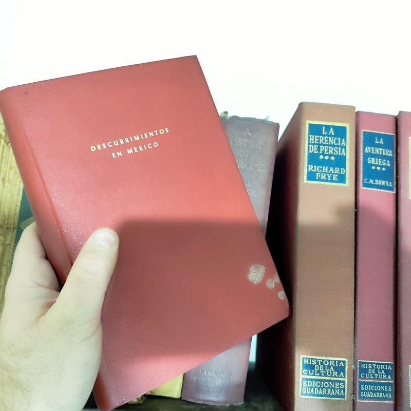 Item 880313 - Image 4