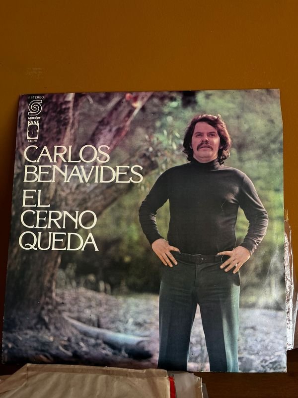Vinilos de varios artistas género popular son 8 discos - imagen 2