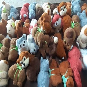 Lote anterior: Lote de Peluches Variados