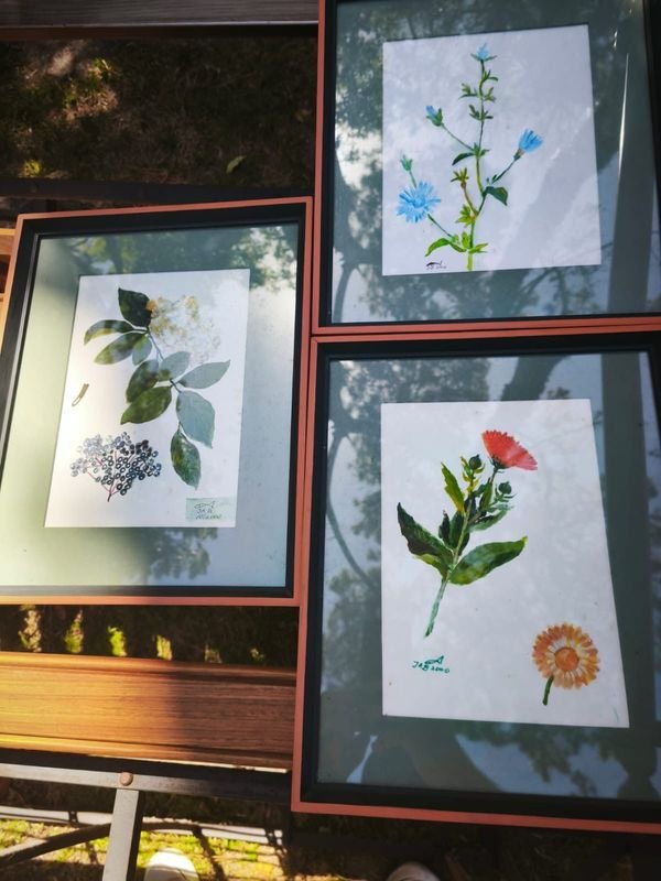 Cuadros de flores enmarcados - imagen 3