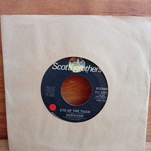 Lote anterior: Disco Simple "Eye Of The Tiger" Survivor 1982 USA