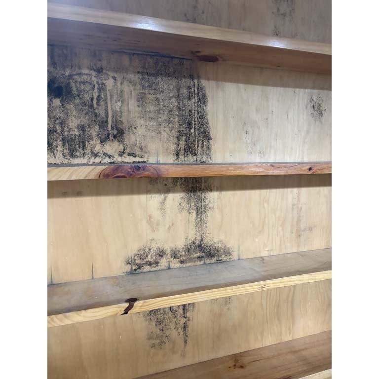 Estanterías de madera para amurar con detalles de humedad - imagen 2