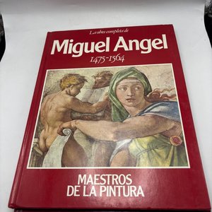 Libros de Maestros de la Pintura: Murillo, Miguel Ángel, Velázquez, El Greco - imagen 3