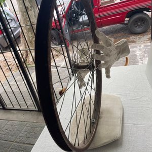 Obra de Arte: Rueda de Bicicleta con Manos Esculpidas - imagen 3