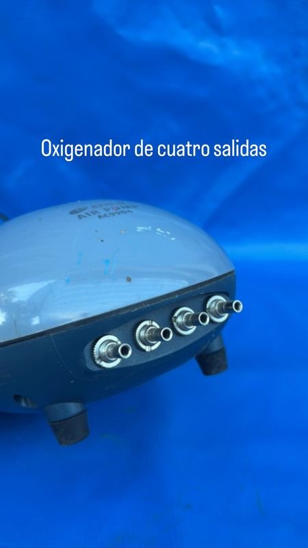 Lote anterior: Aerador/Oxigénador para Acuario de 4 Salidas