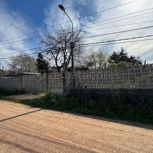 Terreno con vegetación y construcciones - imagen 3