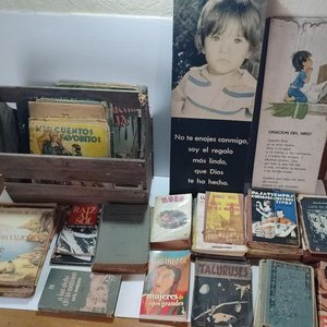 Lote de Libros de Estudio, Colecciones y Textos Varios - imagen 8