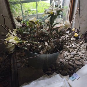 Lote siguiente: Adornos de Ramos Secos con Piña y Flores