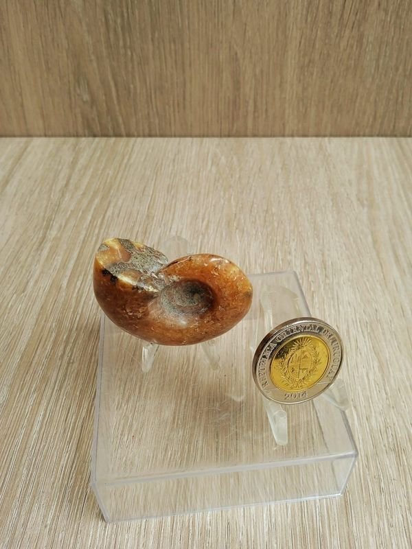 Item 884279 - Image 0