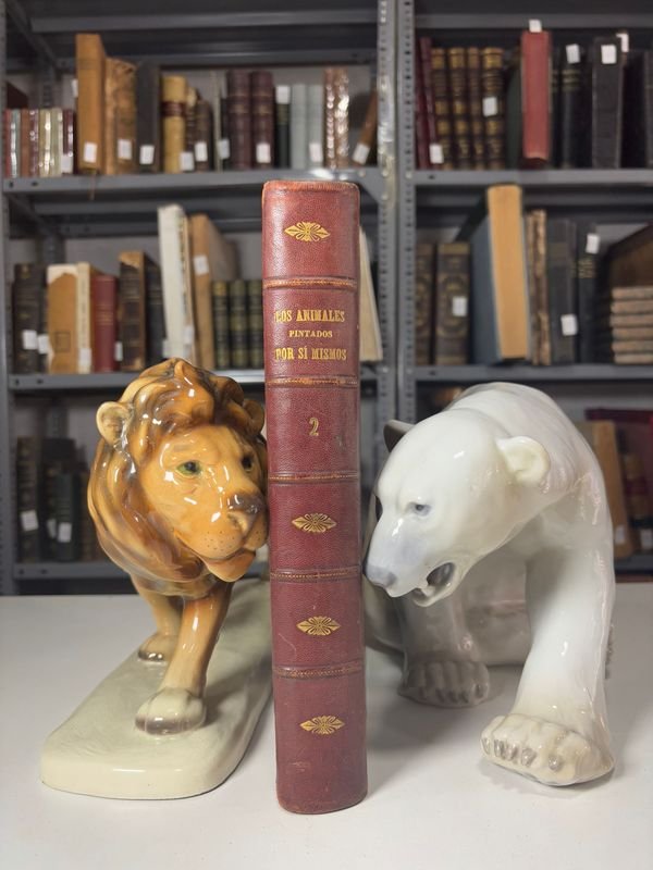 Item 885478 - Image 1