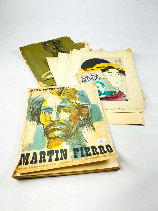 Lote anterior: Colección de grabados orientales y libros de Martin Fierro