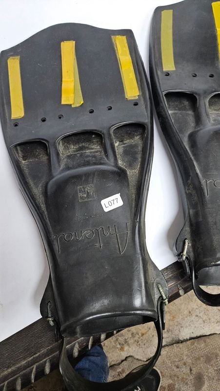 Patas de rana para colección - imagen 4