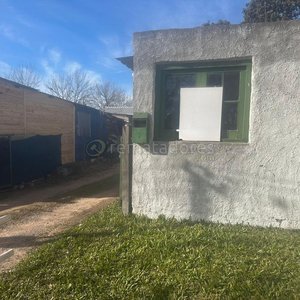 Casa a Remate Presencial en Terreno Amplio con Perro - imagen 4