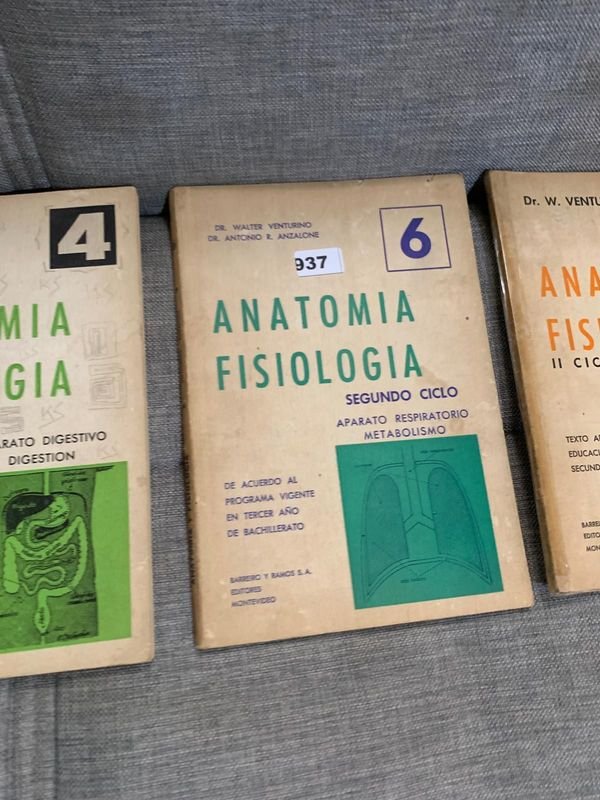 Item 898194 - Image 1