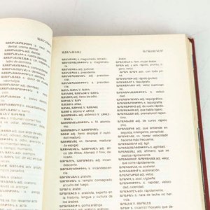 Diccionario Armenio Español Tapa Dura con Sobrecubierta - imagen 2
